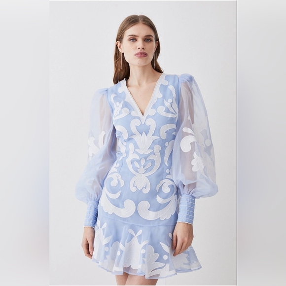 Karen Millen Applique Organdie Buttoned Woven Mini Dress - Picture 1 of 9